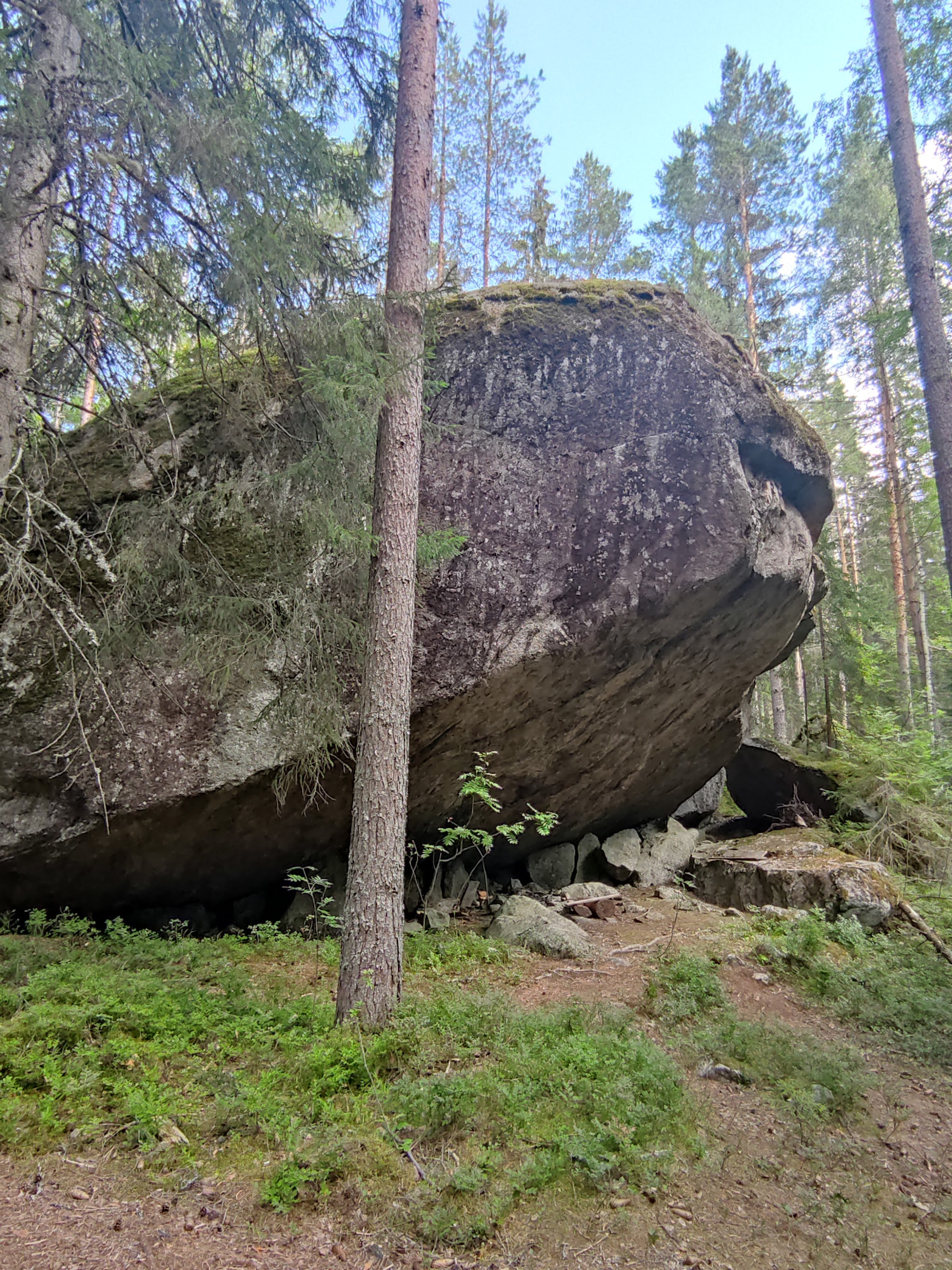 Vilkaharju Nature Trail (Vilkaharjun luontopolku)